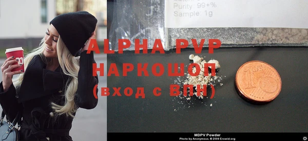 твердый Бородино