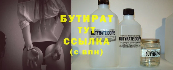 твердый Бородино