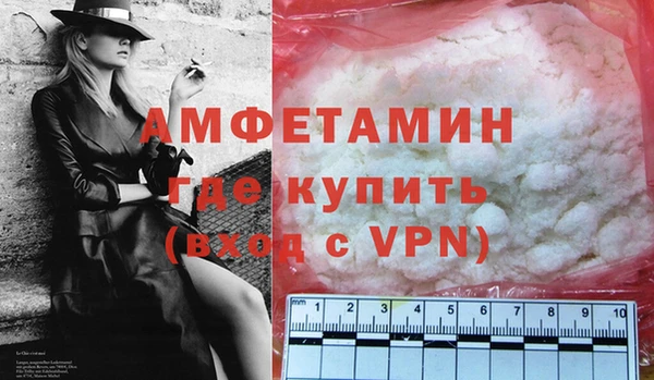 твердый Бородино