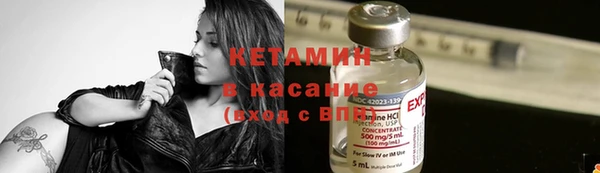 твердый Бородино