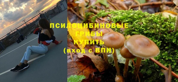 твердый Бородино