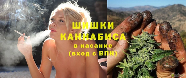 твердый Бородино