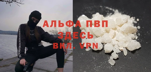 твердый Бородино