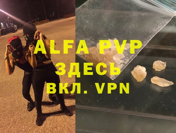 твердый Бородино