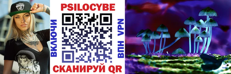 Псилоцибиновые грибы мухоморы  купить закладку  Абакан 